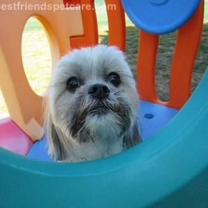 Meet your Posher, Ann